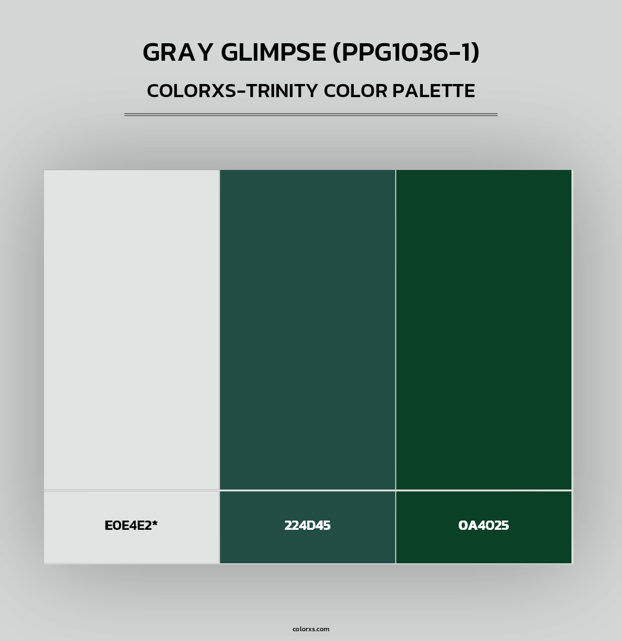 Gray Glimpse (PPG1036-1) - Colorxs Trinity Palette