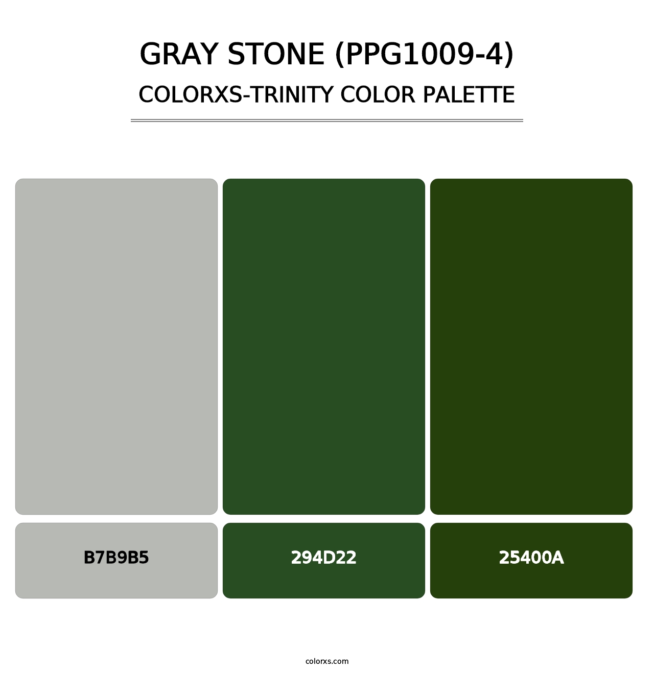 Gray Stone (PPG1009-4) - Colorxs Trinity Palette