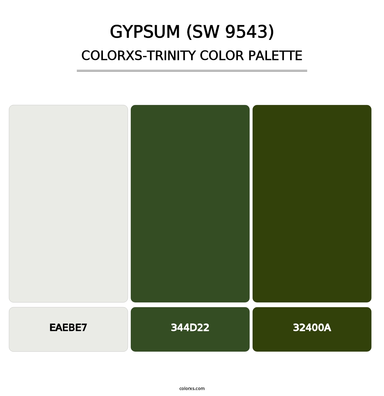 Gypsum (SW 9543) - Colorxs Trinity Palette