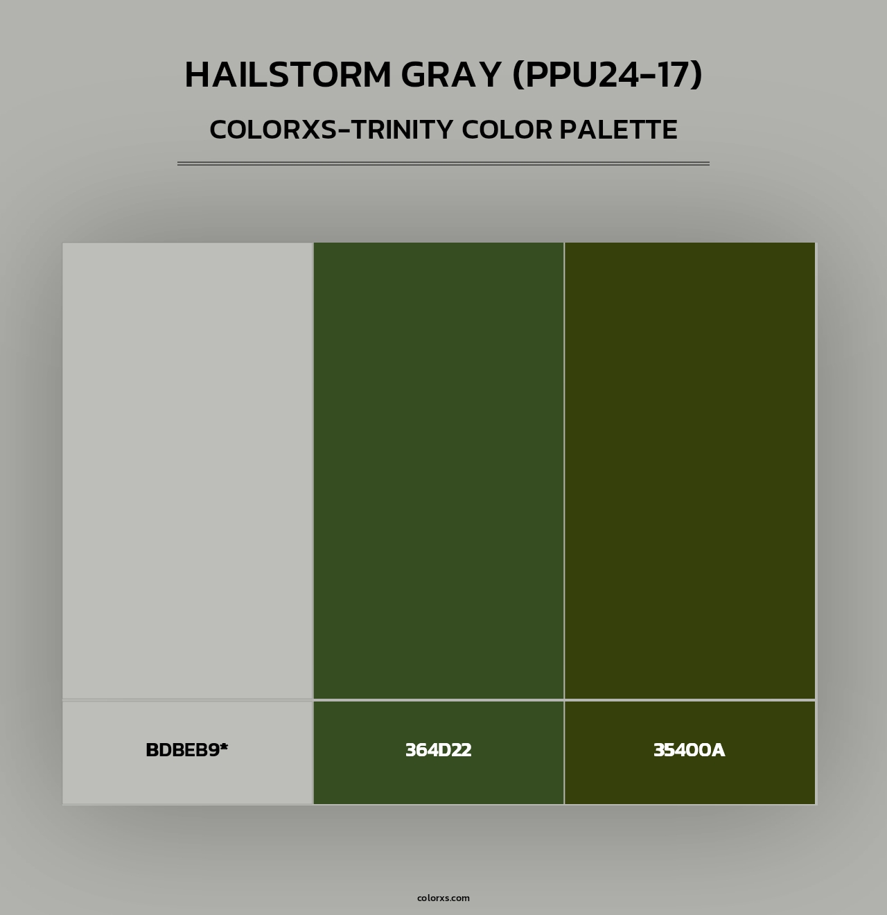 Hailstorm Gray (PPU24-17) - Colorxs Trinity Palette