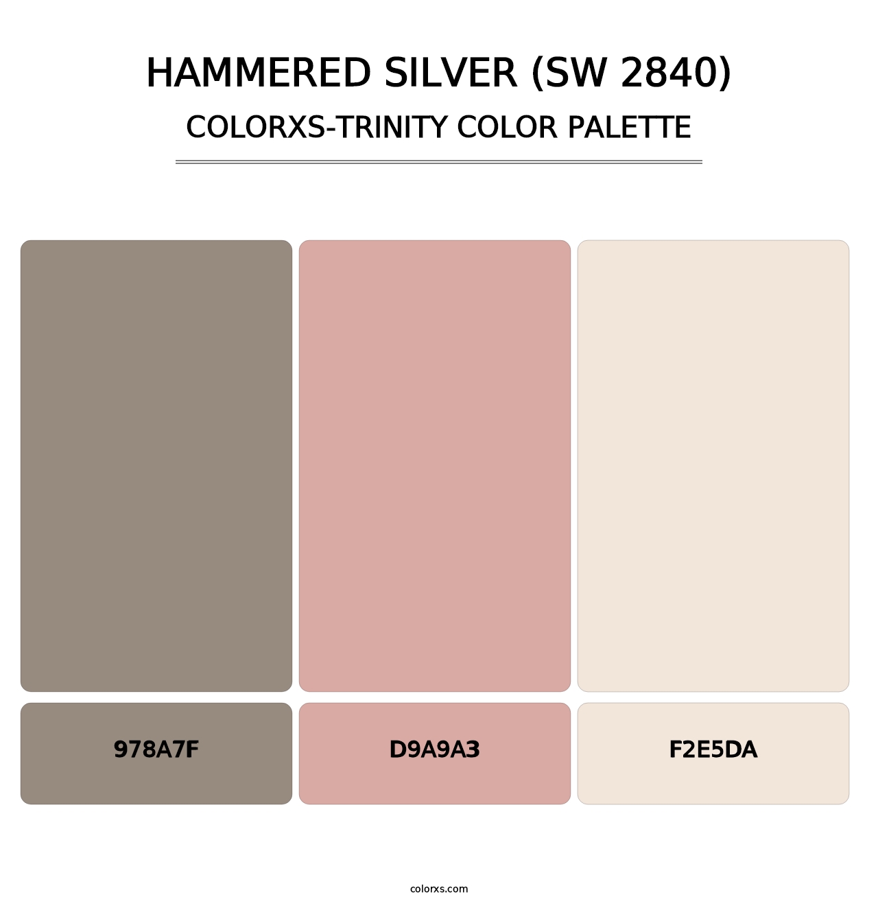 Hammered Silver (SW 2840) - Colorxs Trinity Palette