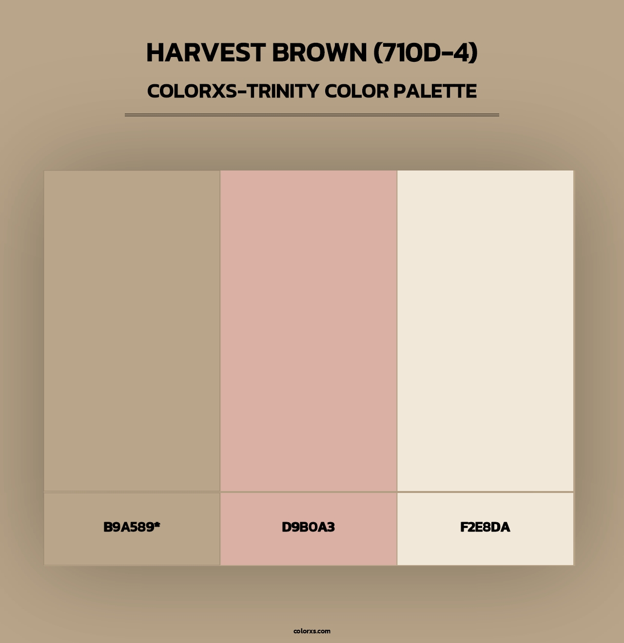 Harvest Brown (710D-4) - Colorxs Trinity Palette