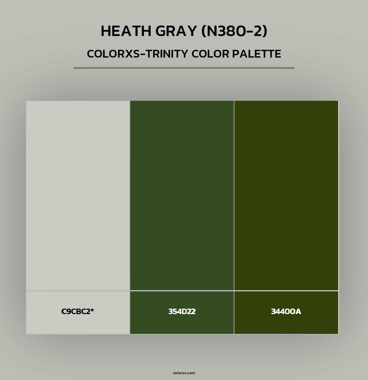 Heath Gray (N380-2) - Colorxs Trinity Palette