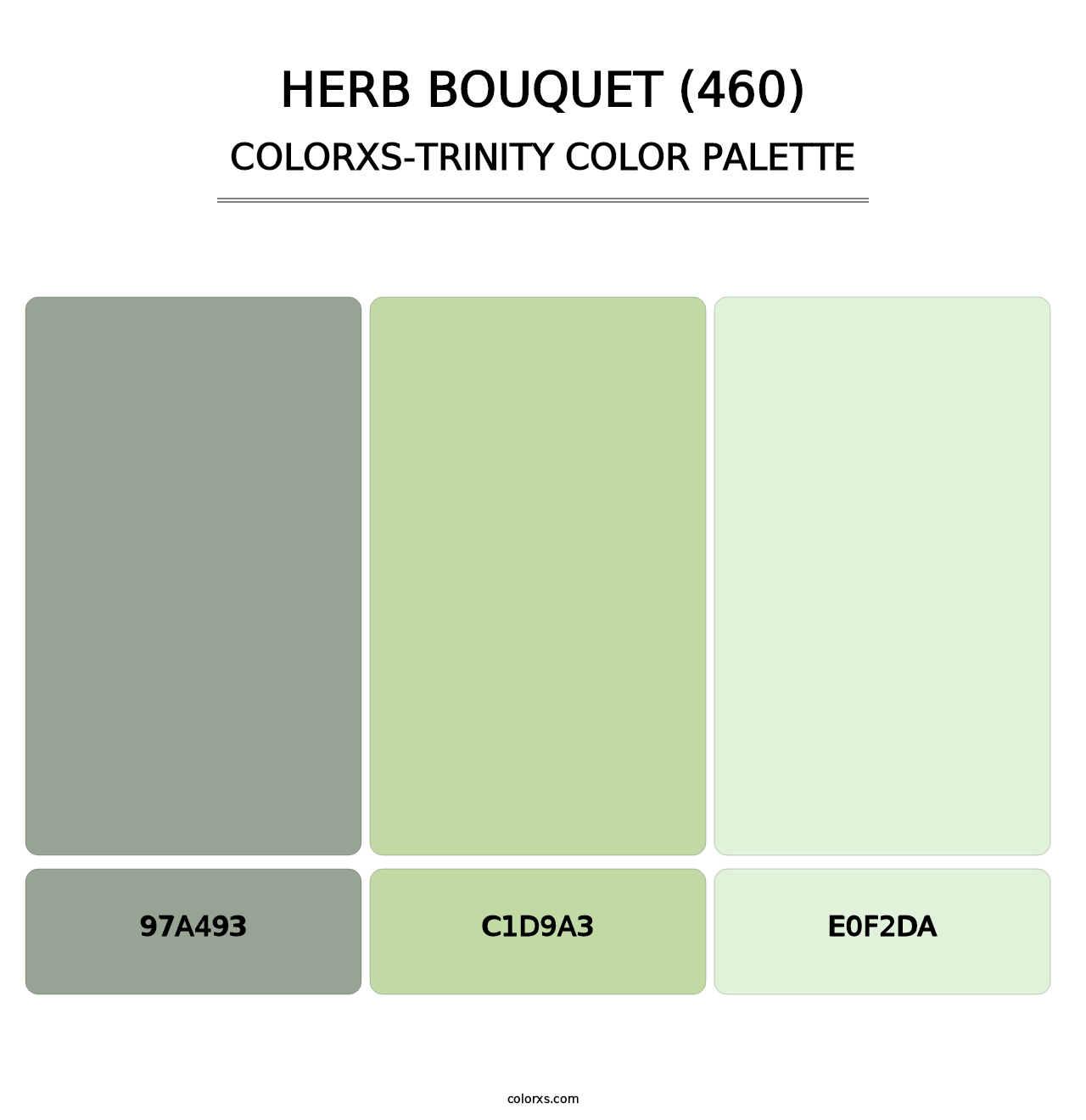 Herb Bouquet (460) - Colorxs Trinity Palette