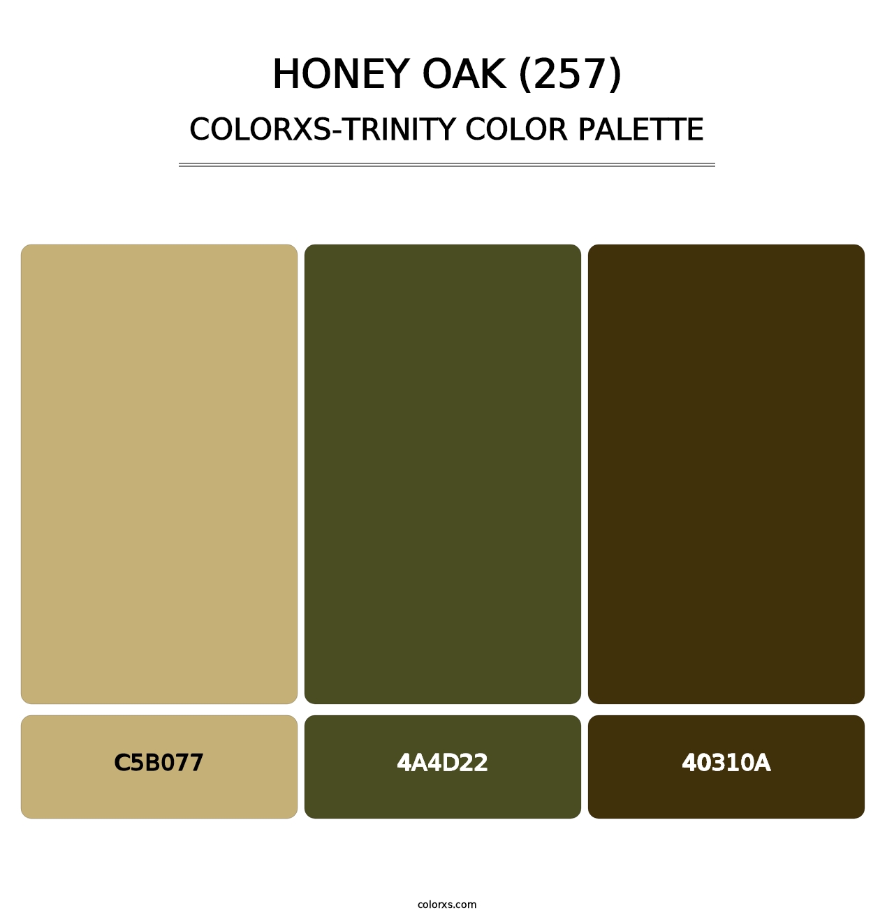 Honey Oak (257) - Colorxs Trinity Palette