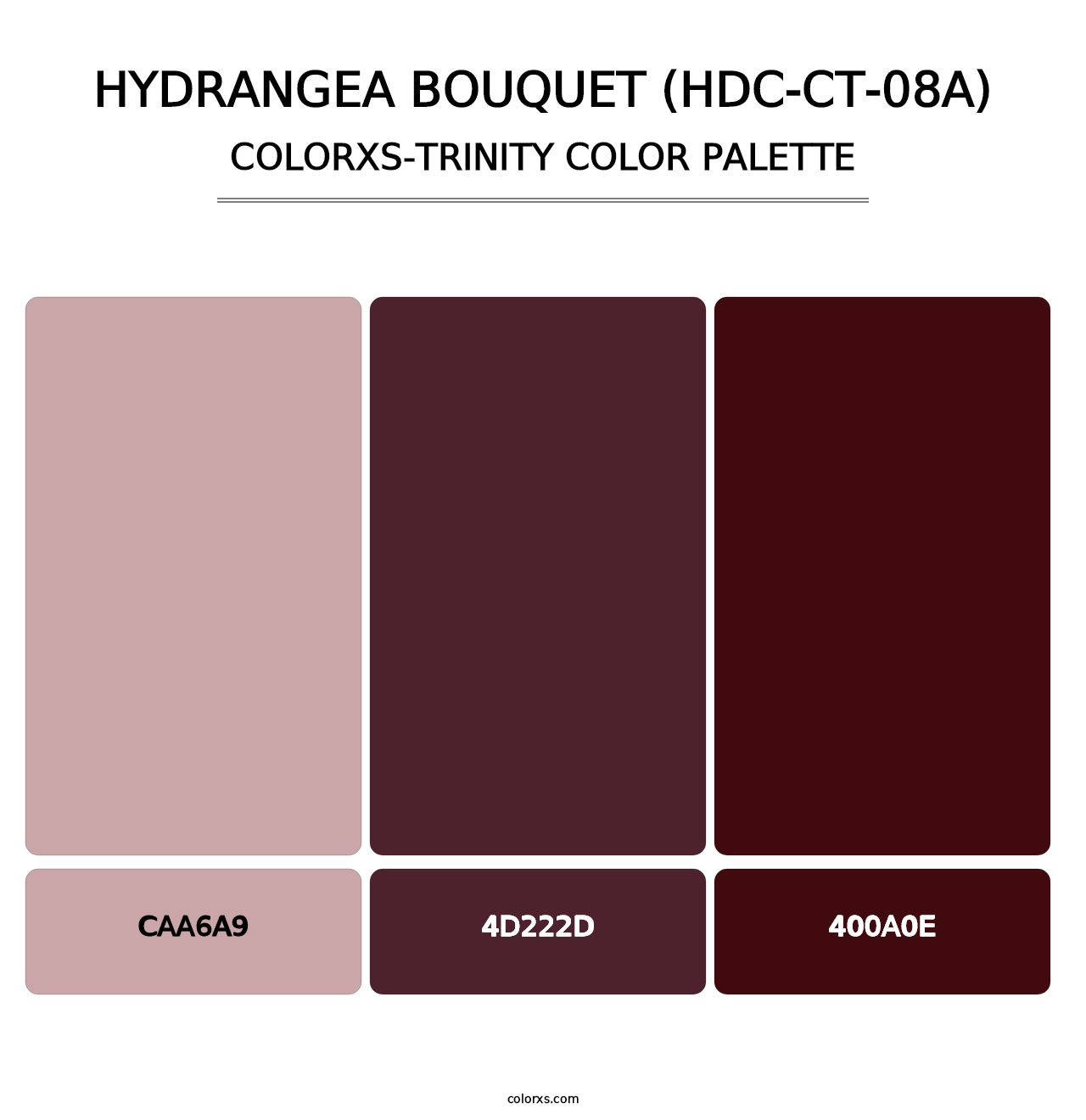Hydrangea Bouquet (HDC-CT-08A) - Colorxs Trinity Palette