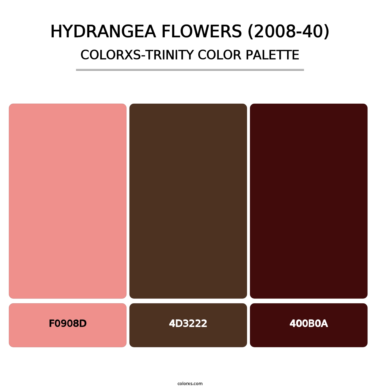 Hydrangea Flowers (2008-40) - Colorxs Trinity Palette