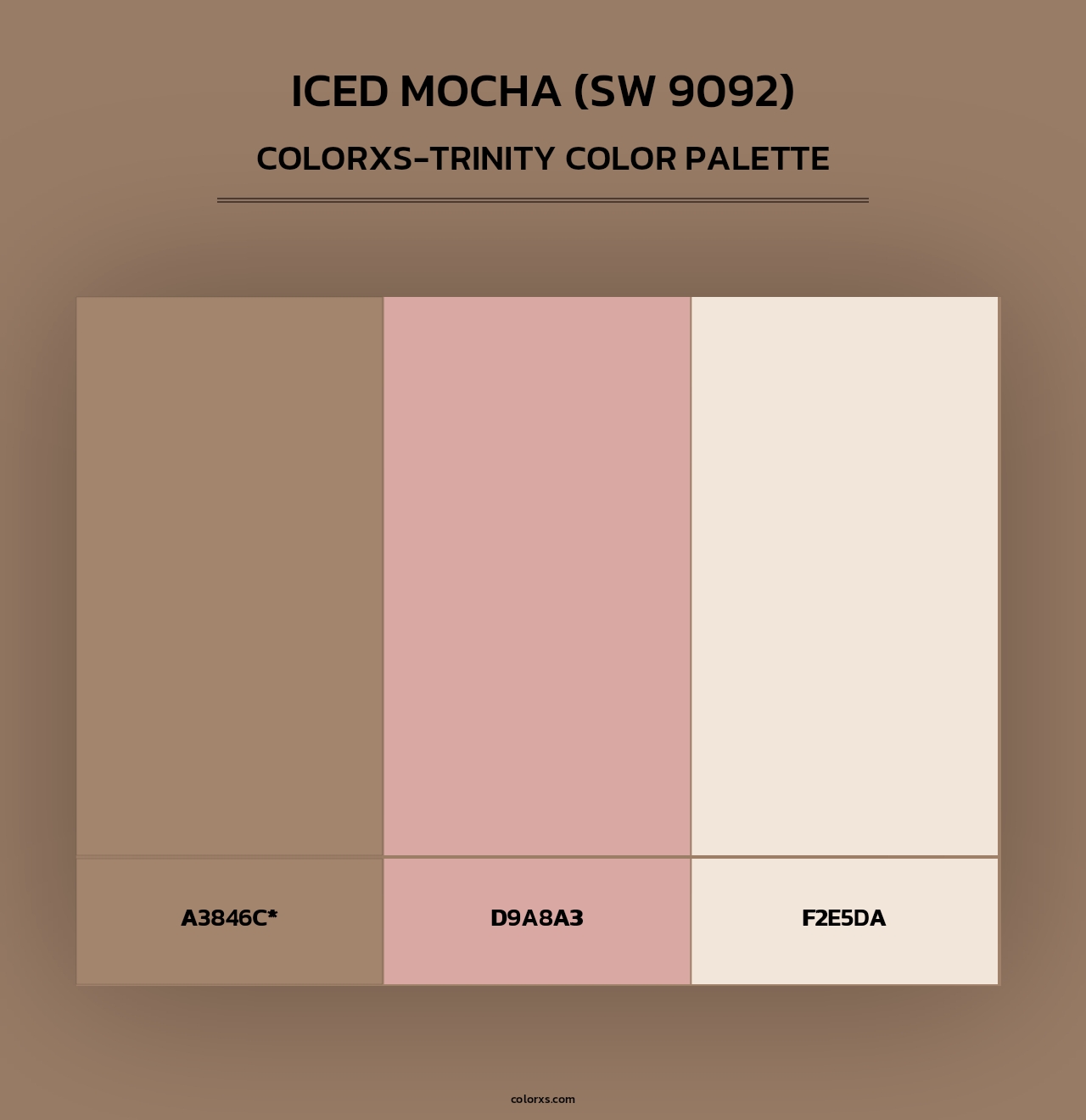 Iced Mocha (SW 9092) - Colorxs Trinity Palette