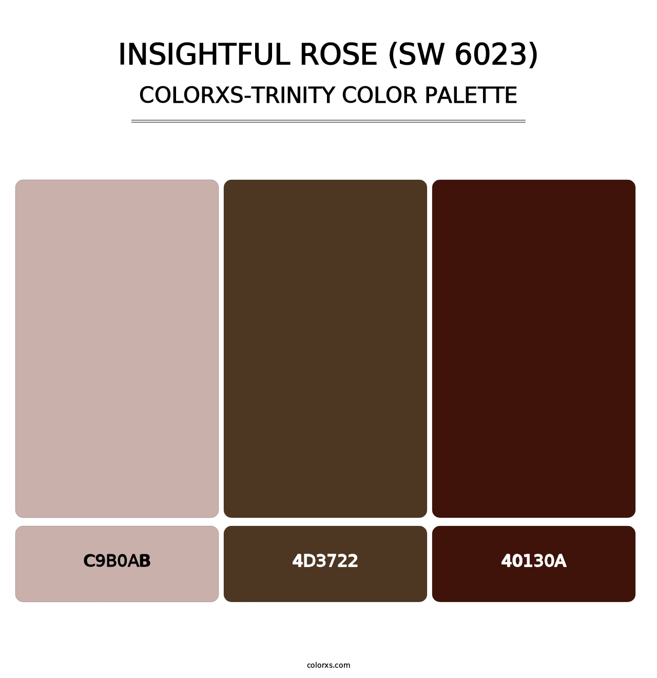 Insightful Rose (SW 6023) - Colorxs Trinity Palette