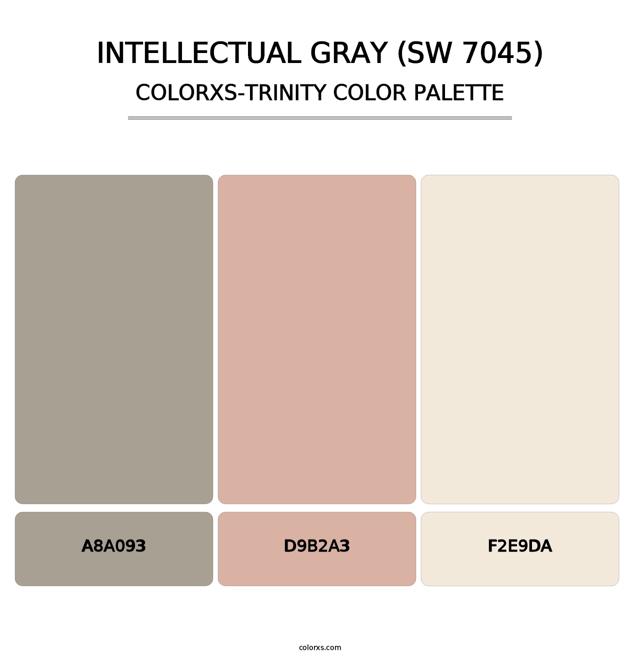 Intellectual Gray (SW 7045) - Colorxs Trinity Palette