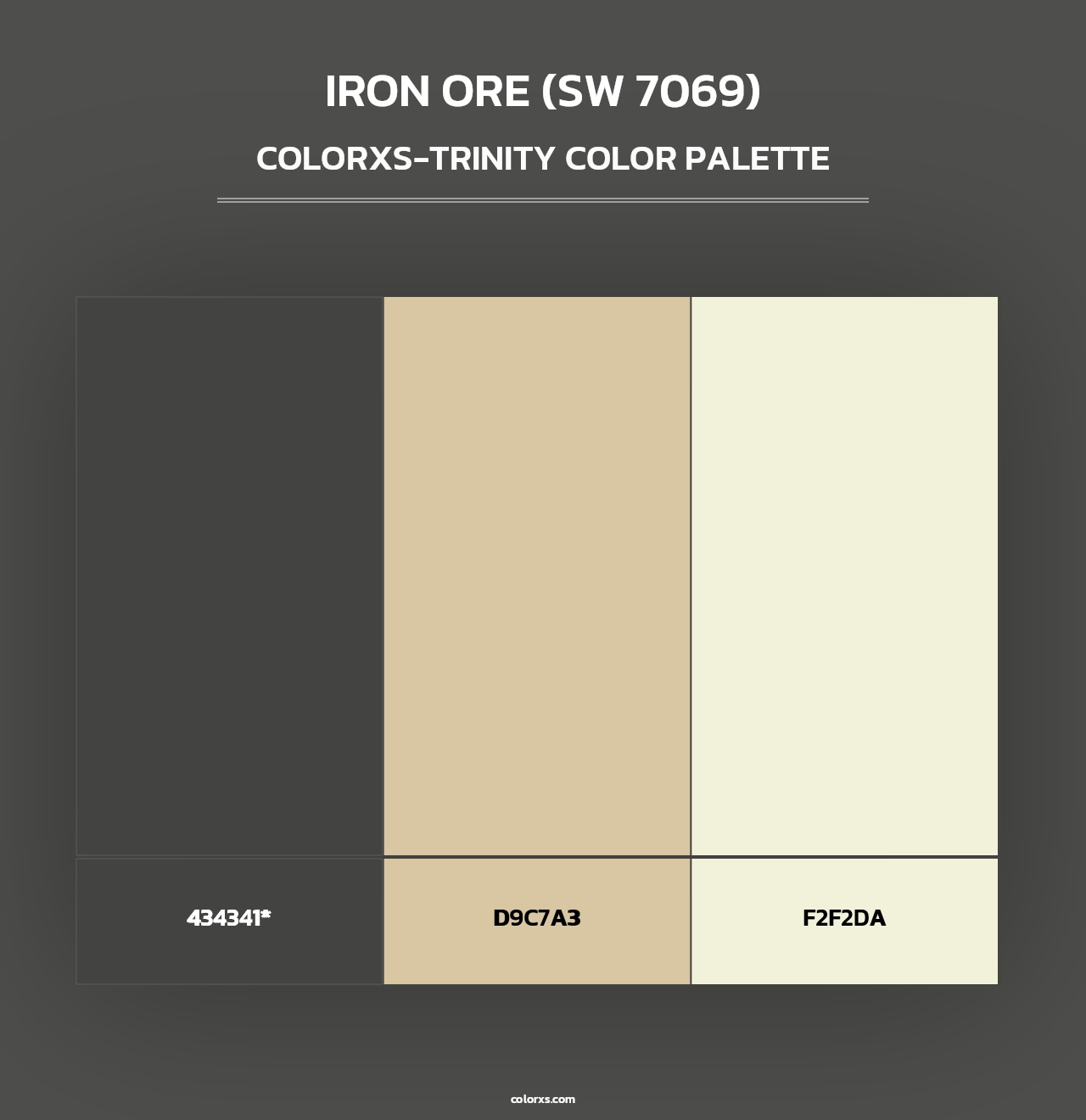 Iron Ore (SW 7069) - Colorxs Trinity Palette