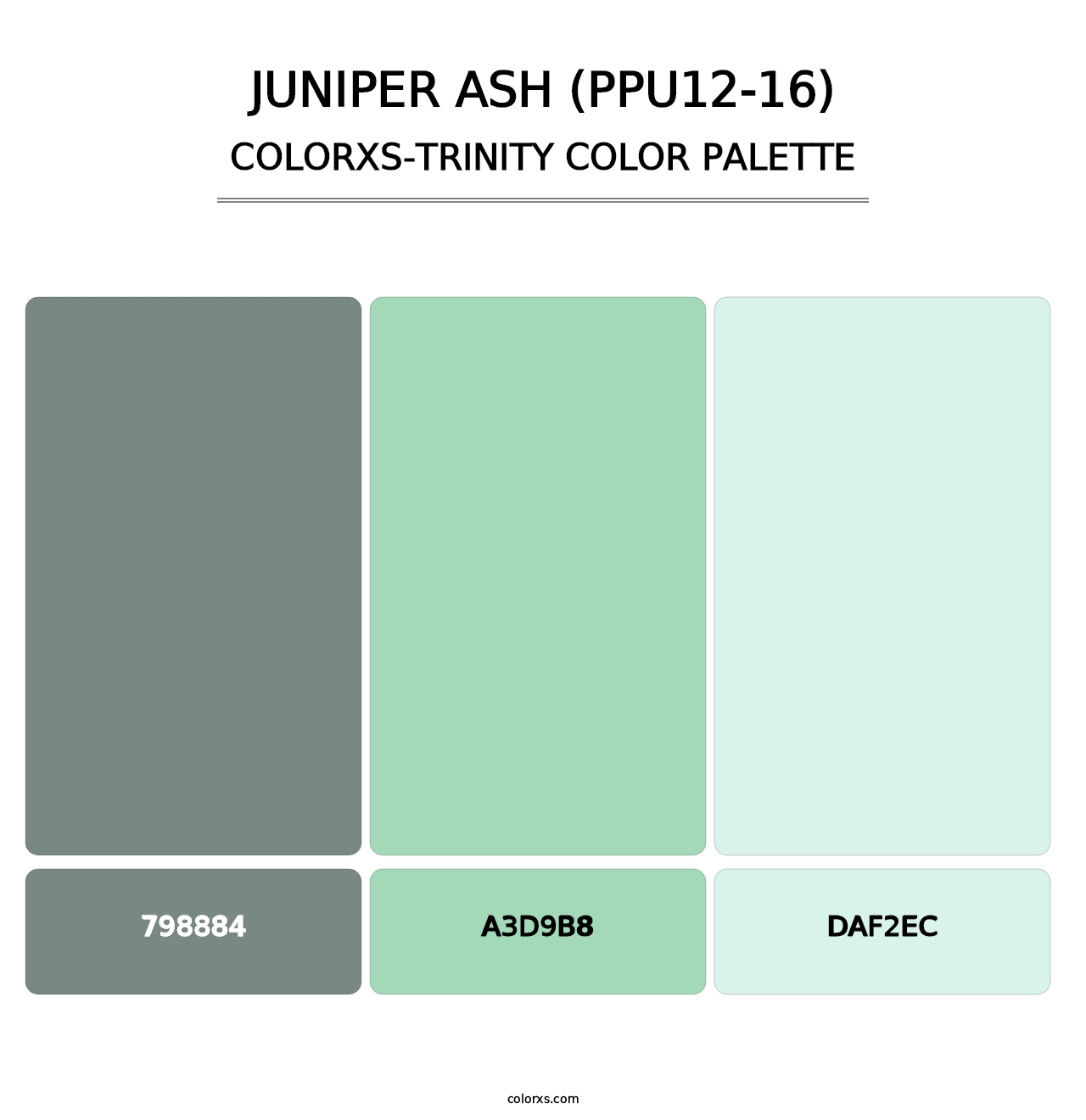 Juniper Ash (PPU12-16) - Colorxs Trinity Palette