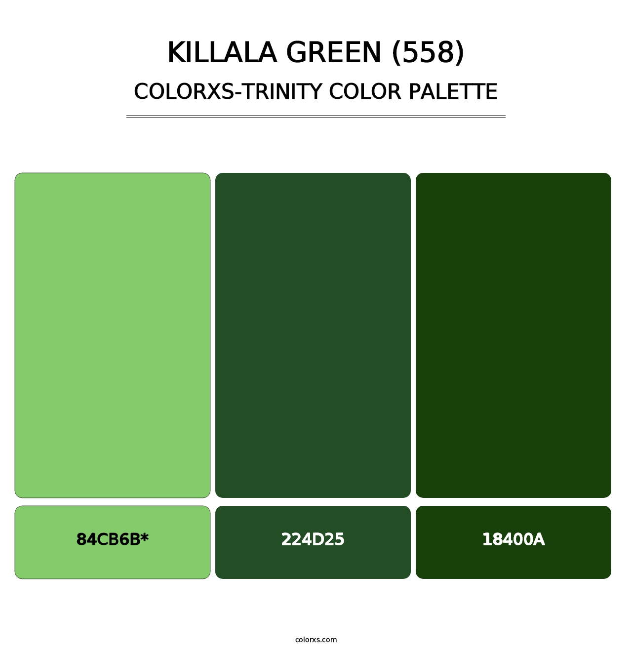 Killala Green (558) - Colorxs Trinity Palette