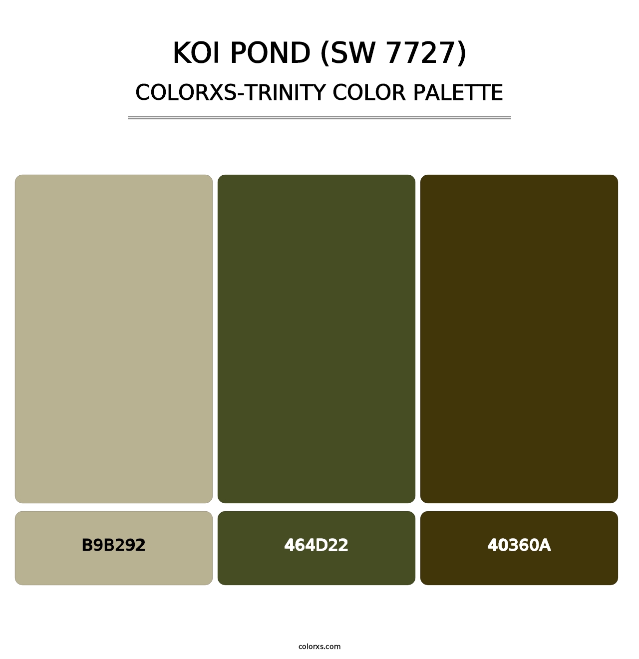 Koi Pond (SW 7727) - Colorxs Trinity Palette