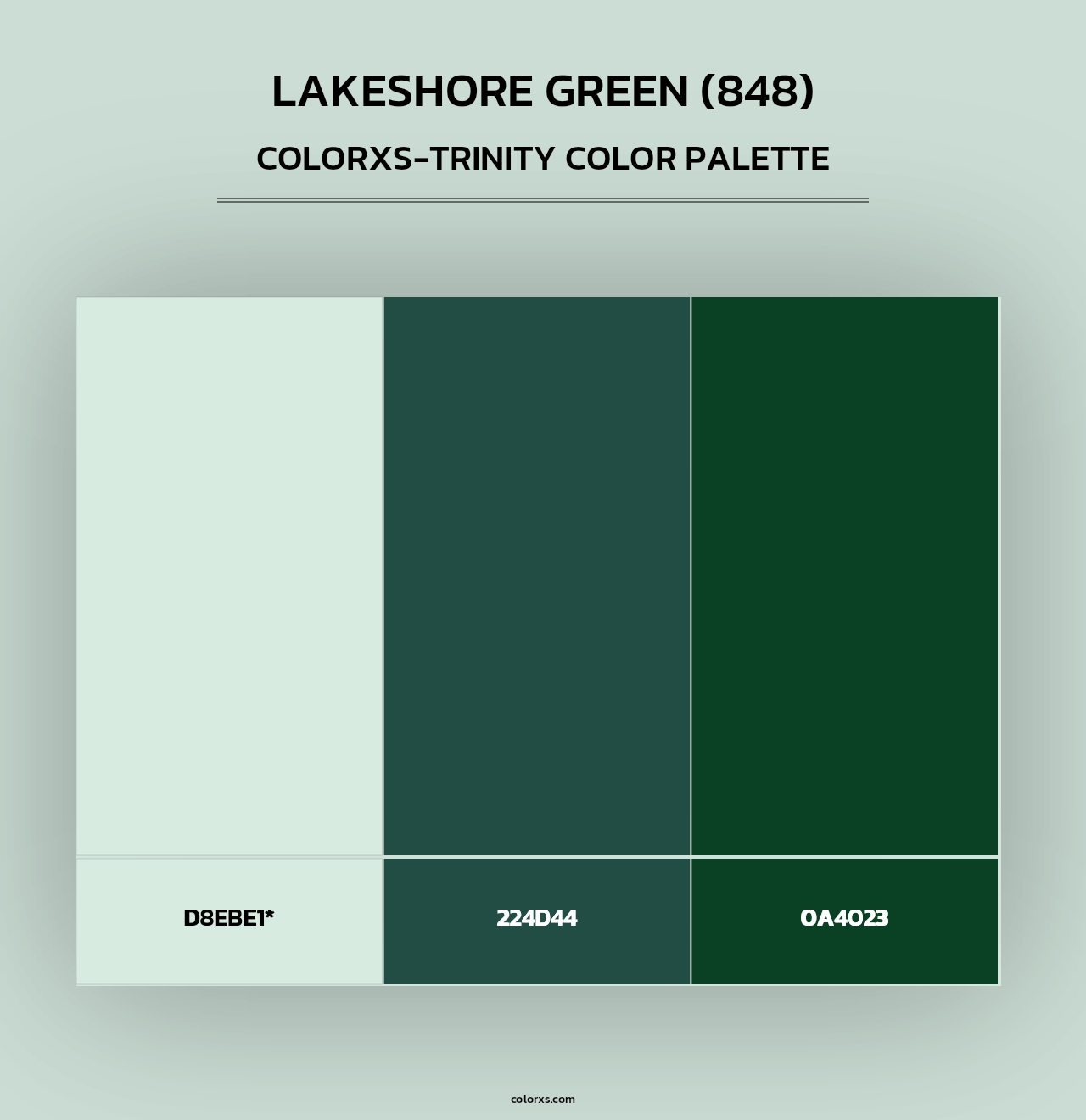 Lakeshore Green (848) - Colorxs Trinity Palette