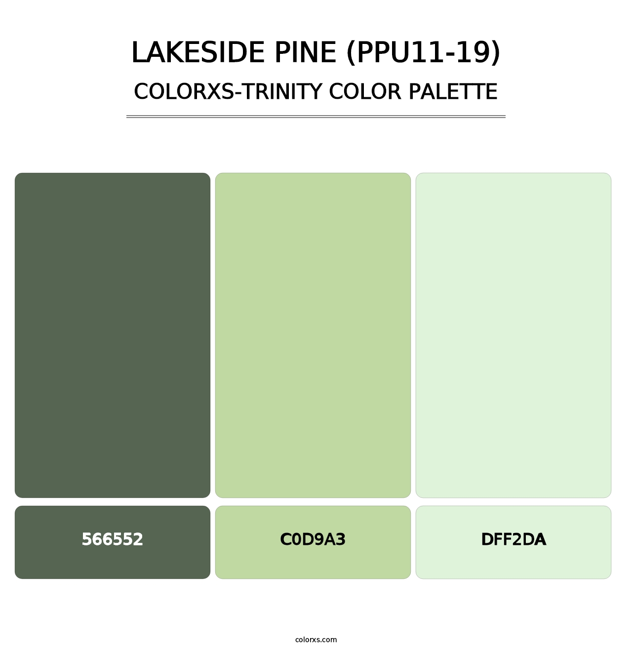 Lakeside Pine (PPU11-19) - Colorxs Trinity Palette