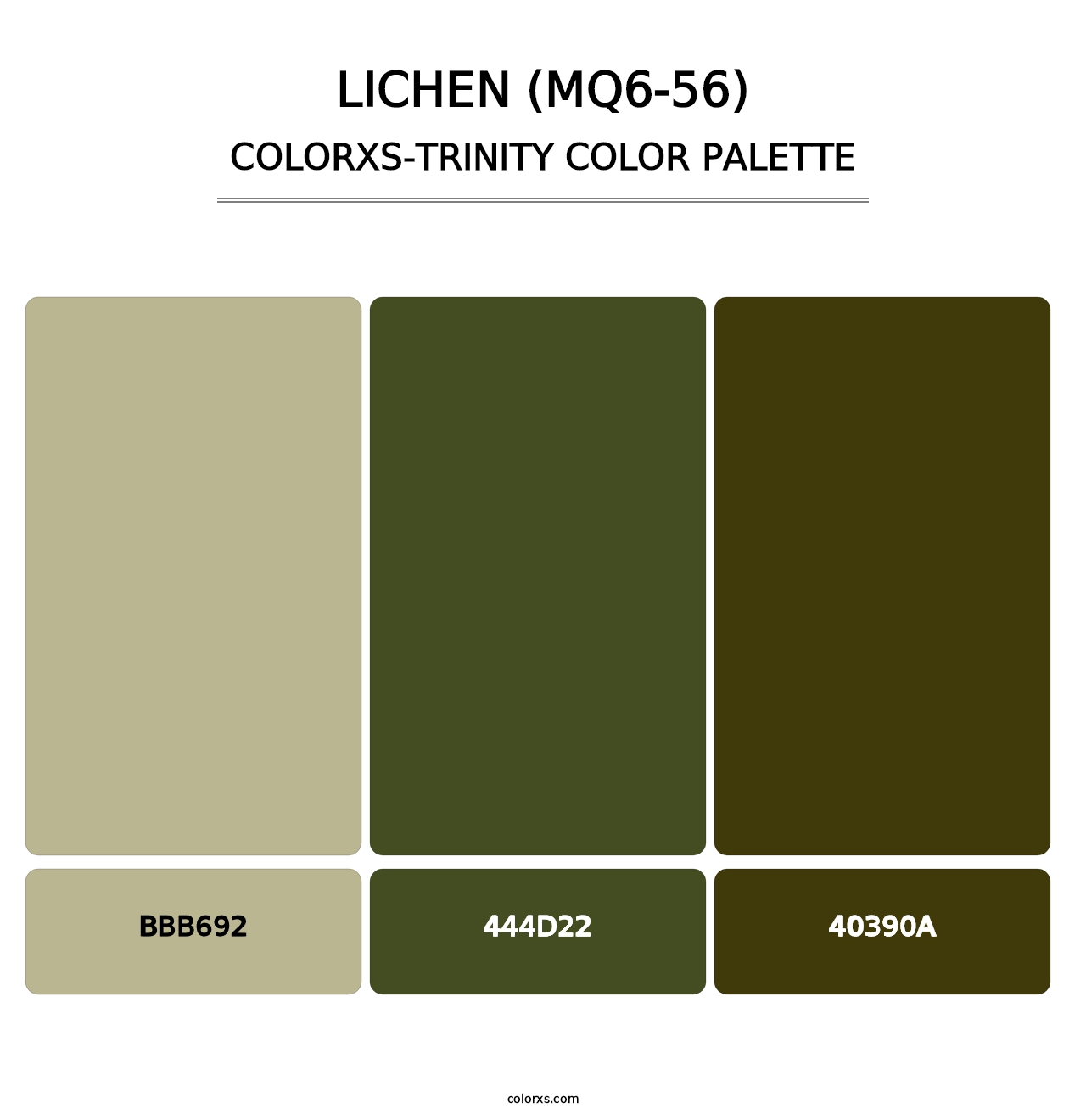 Lichen (MQ6-56) - Colorxs Trinity Palette