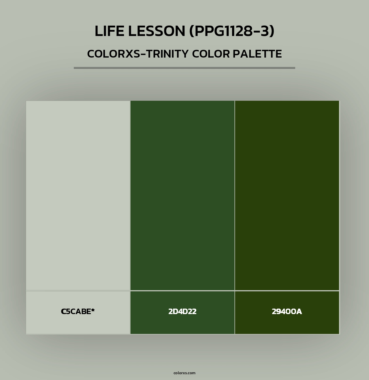 Life Lesson (PPG1128-3) - Colorxs Trinity Palette