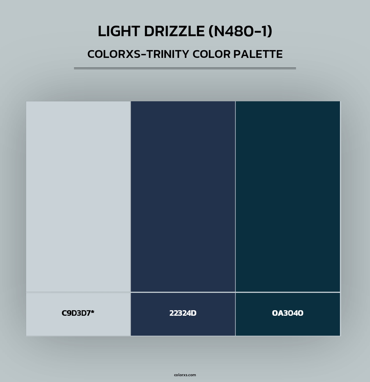 Light Drizzle (N480-1) - Colorxs Trinity Palette