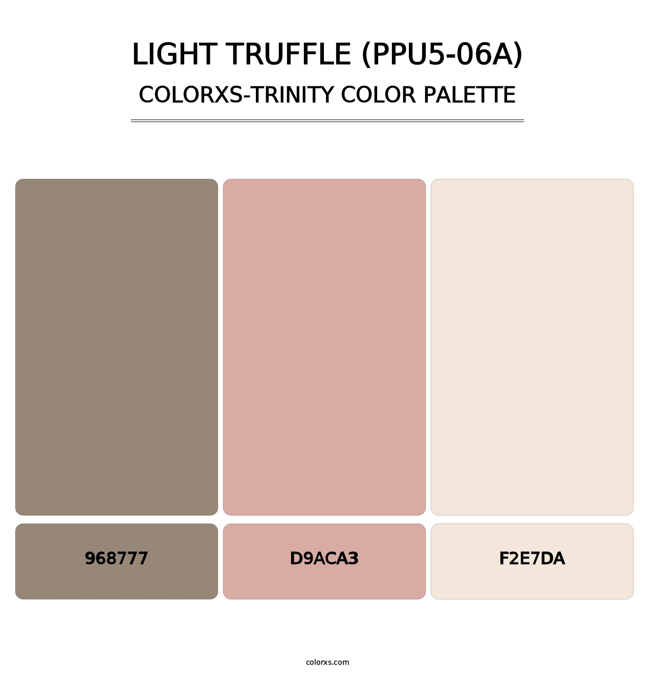 Light Truffle (PPU5-06A) - Colorxs Trinity Palette