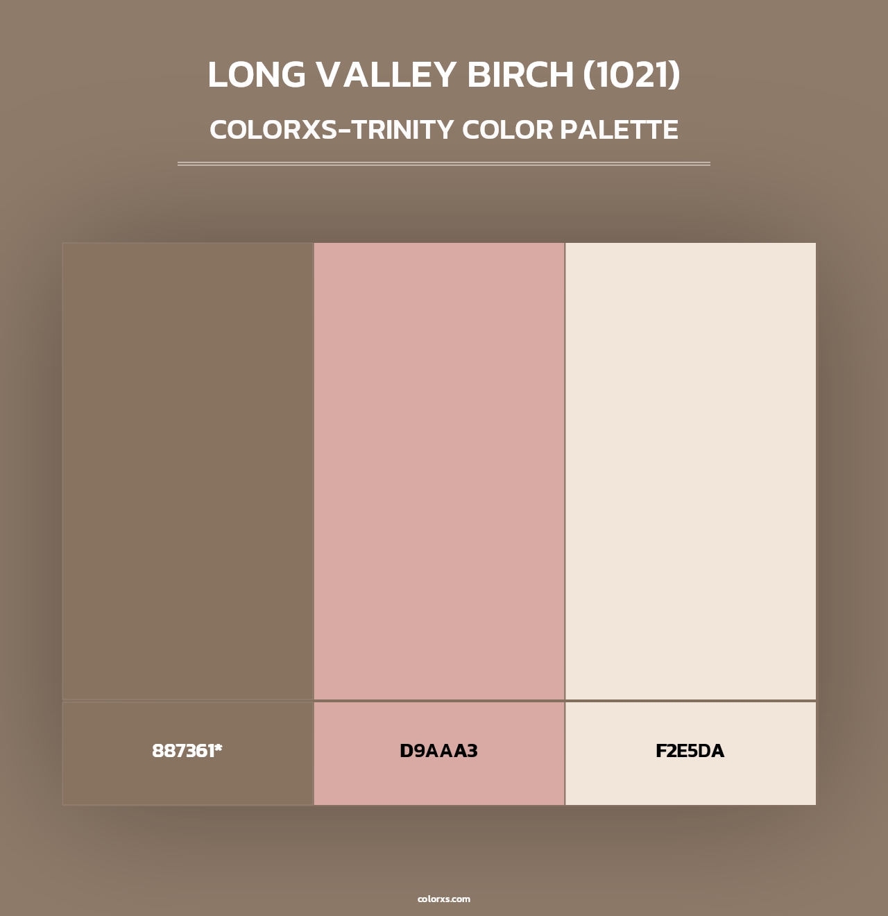 Long Valley Birch (1021) - Colorxs Trinity Palette
