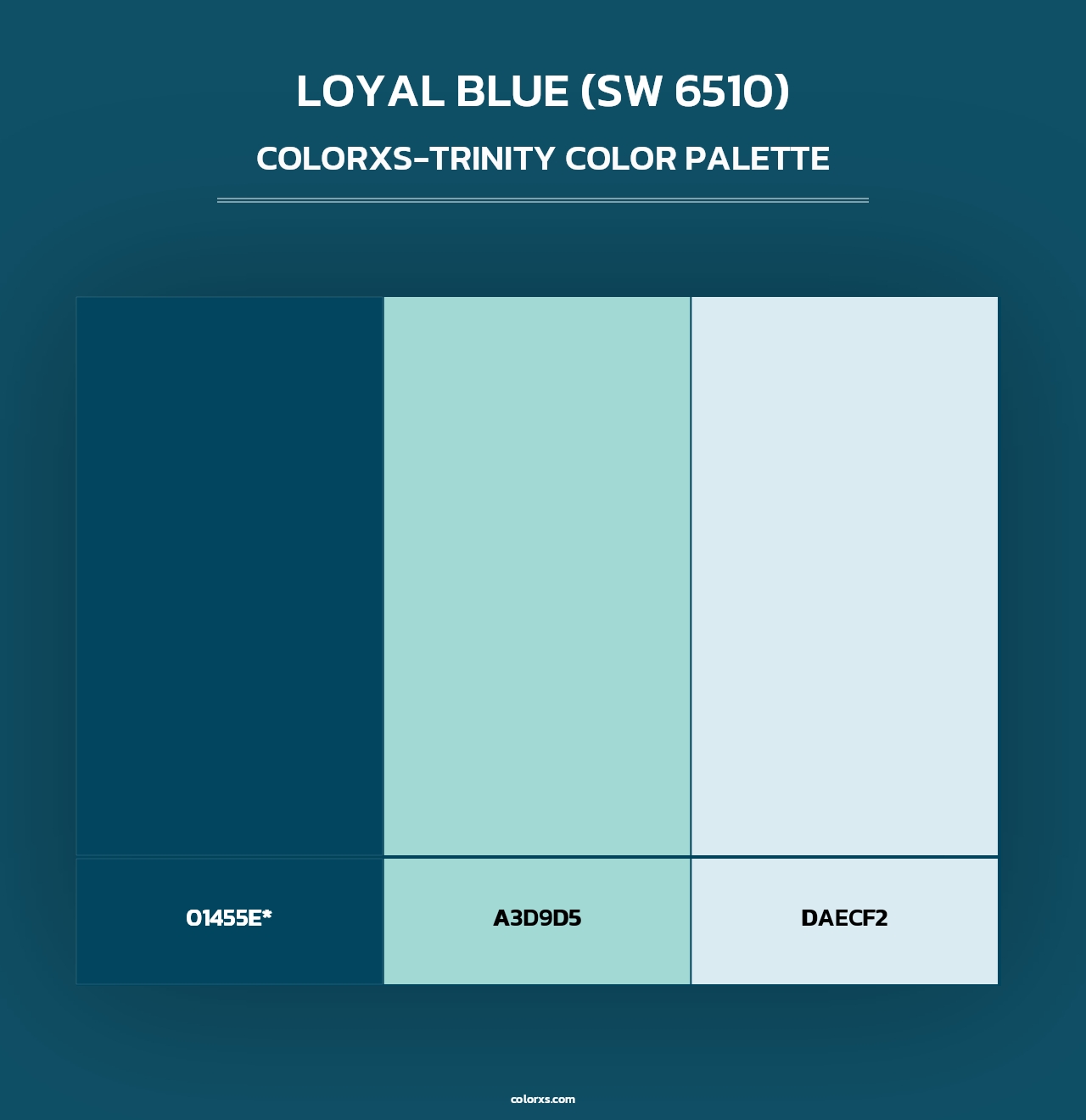 Loyal Blue (SW 6510) - Colorxs Trinity Palette