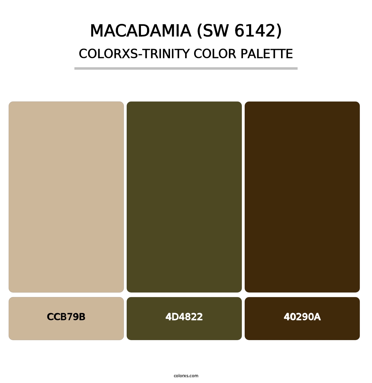 Macadamia (SW 6142) - Colorxs Trinity Palette