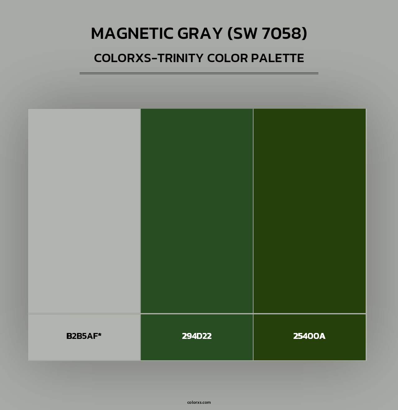 Magnetic Gray (SW 7058) - Colorxs Trinity Palette