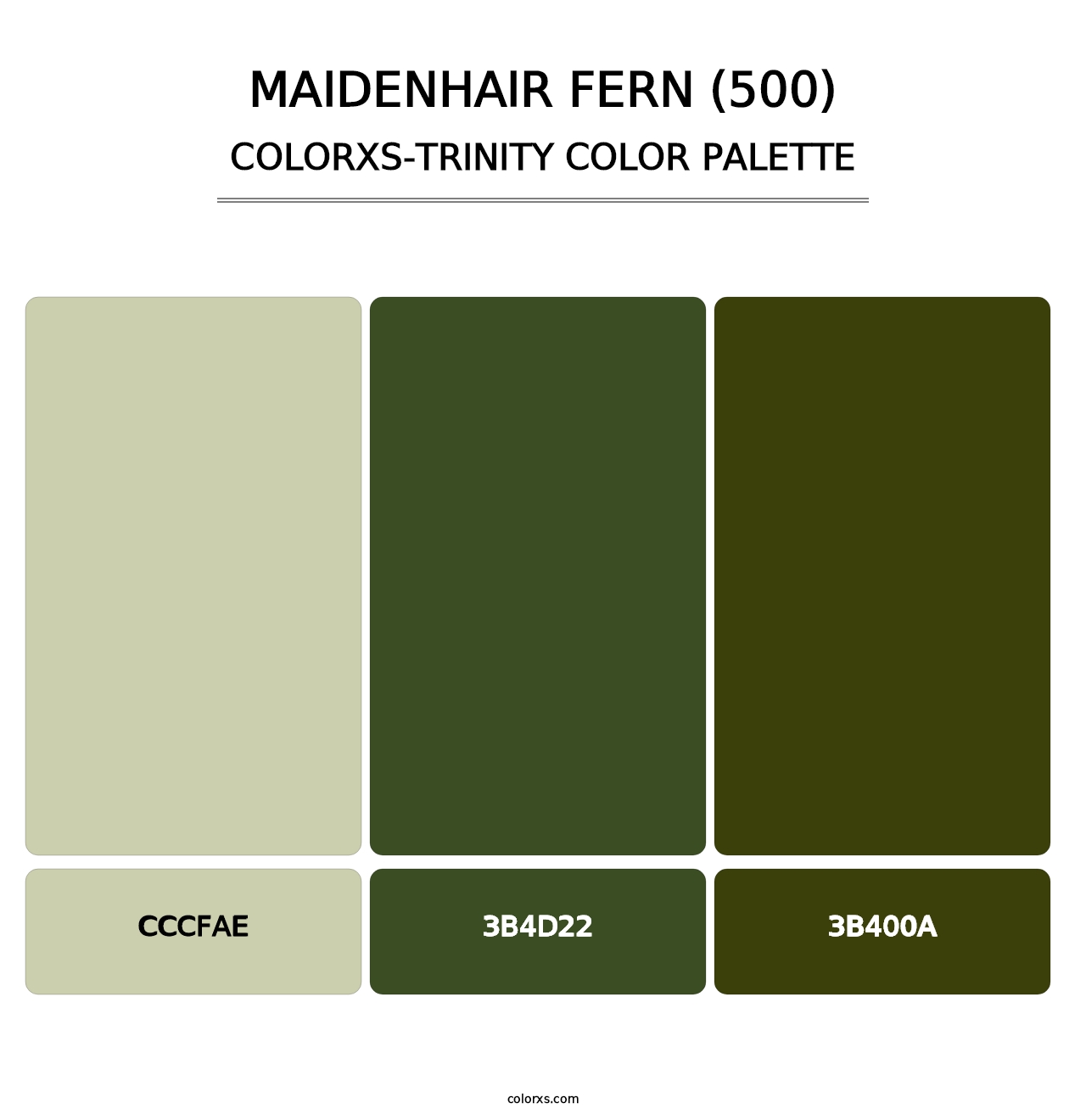 Maidenhair Fern (500) - Colorxs Trinity Palette