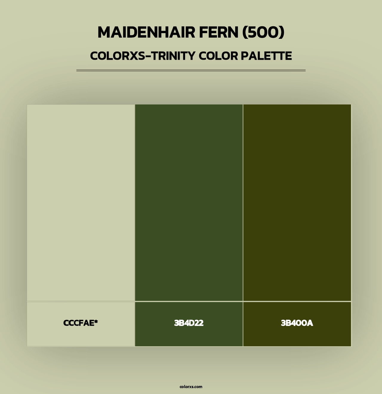 Maidenhair Fern (500) - Colorxs Trinity Palette
