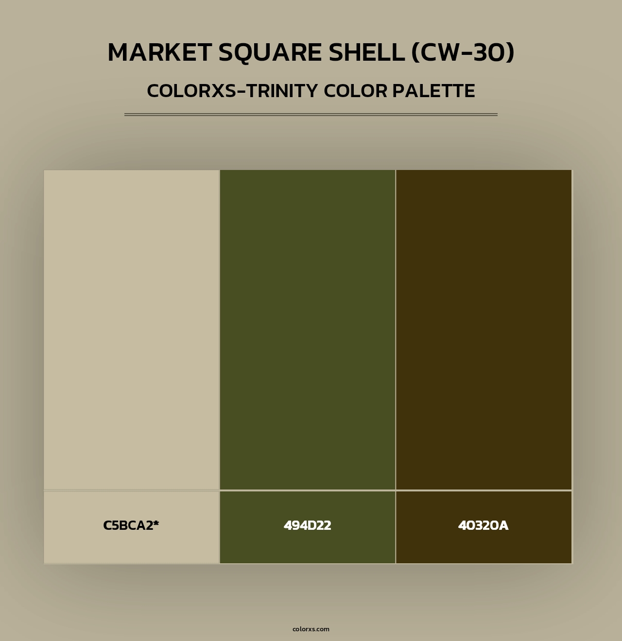 Market Square Shell (CW-30) - Colorxs Trinity Palette