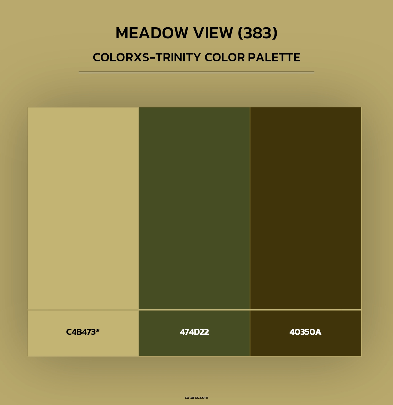 Meadow View (383) - Colorxs Trinity Palette