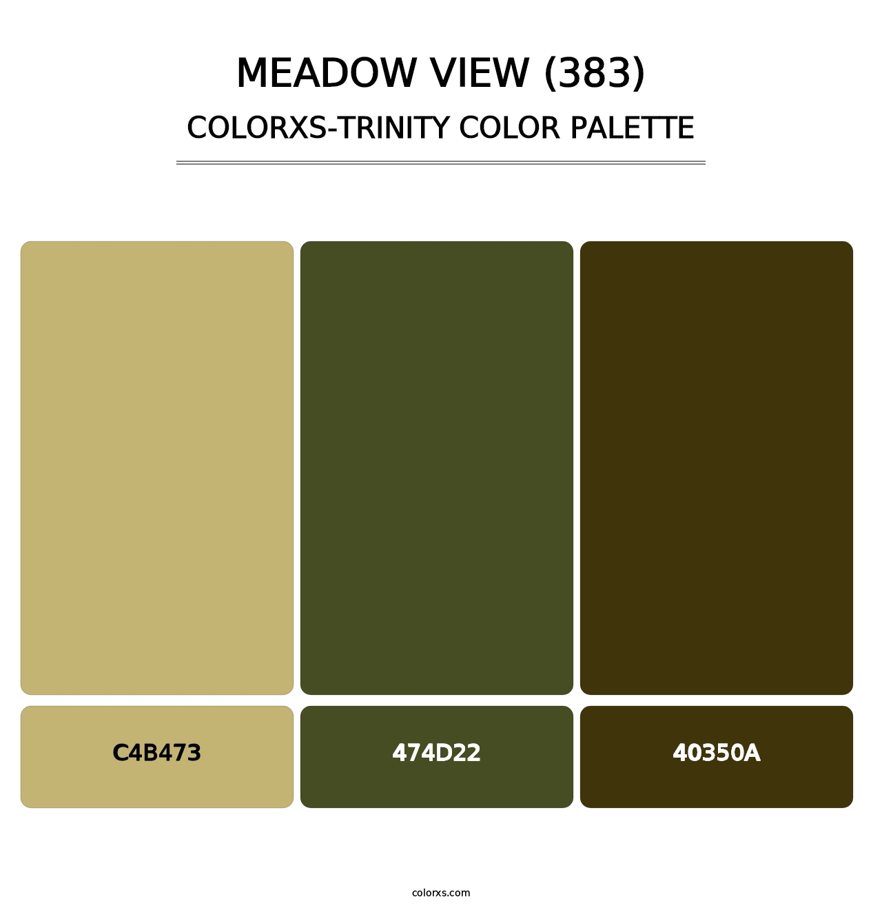 Meadow View (383) - Colorxs Trinity Palette