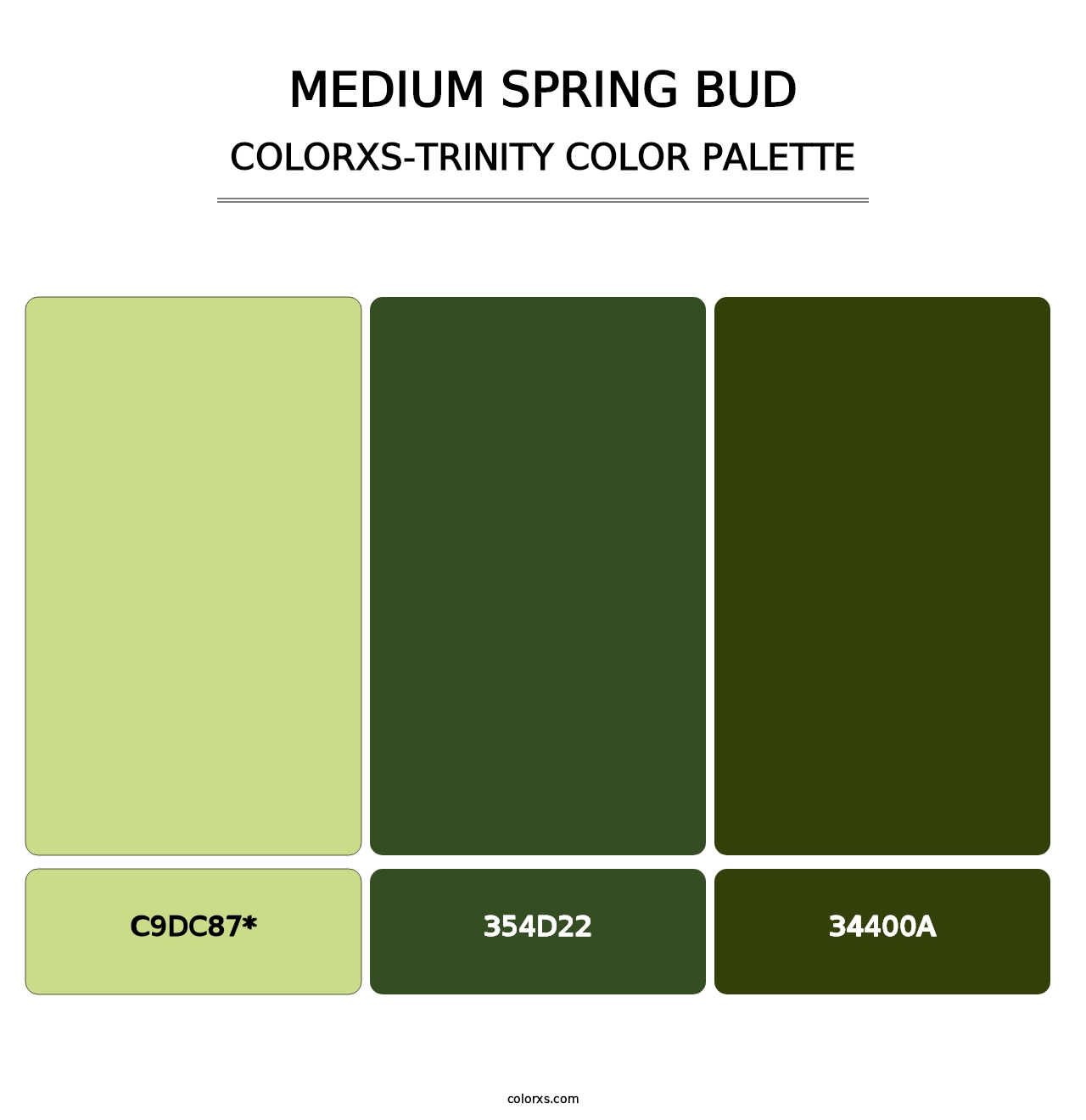 Medium Spring Bud - Colorxs Trinity Palette