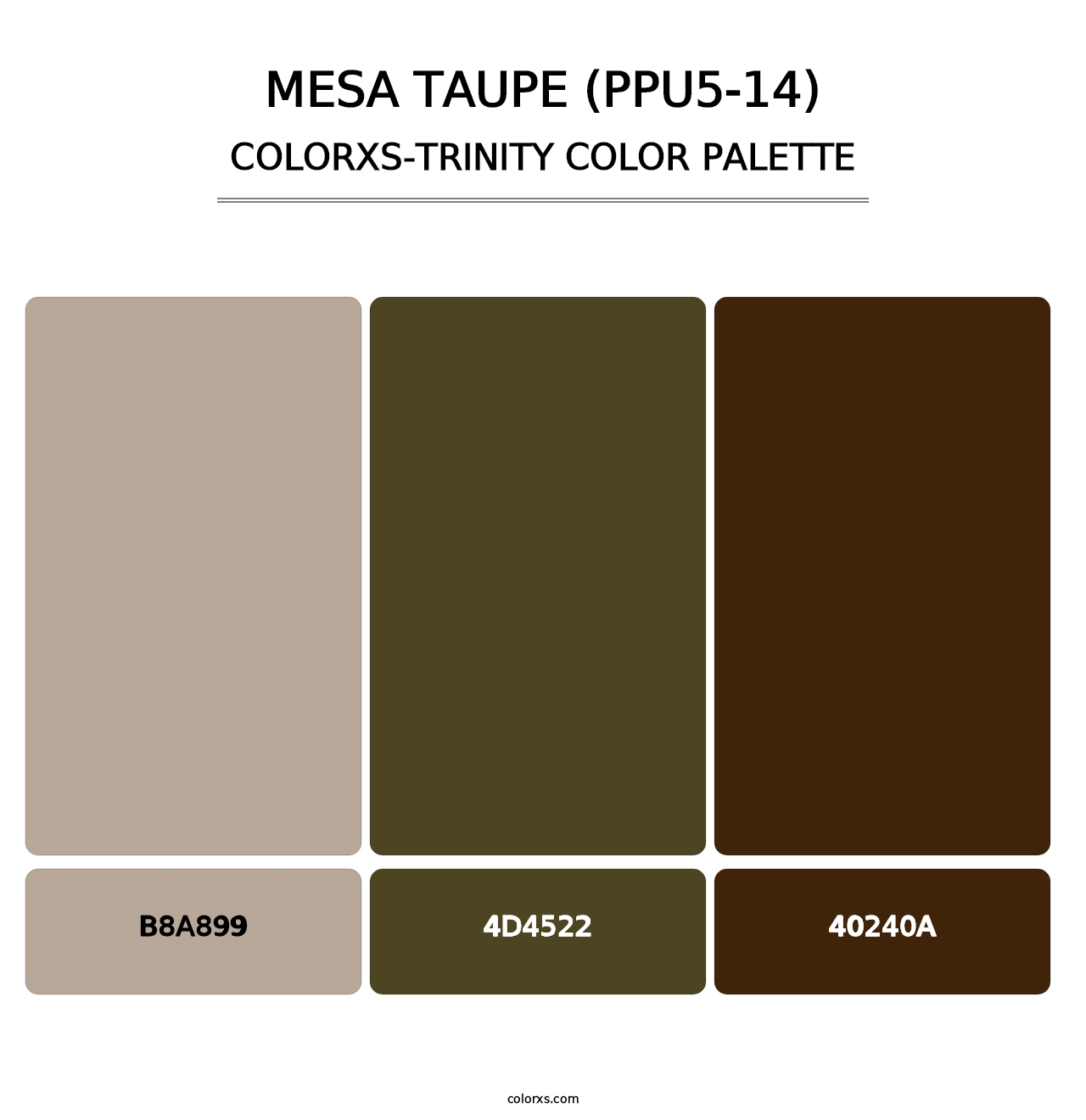 Mesa Taupe (PPU5-14) - Colorxs Trinity Palette