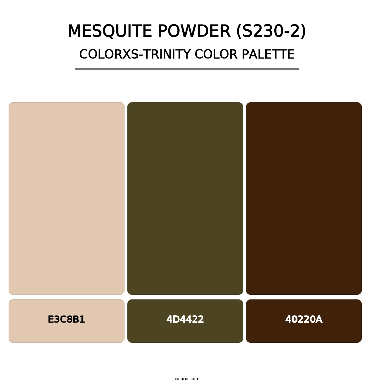 Mesquite Powder (S230-2) - Colorxs Trinity Palette