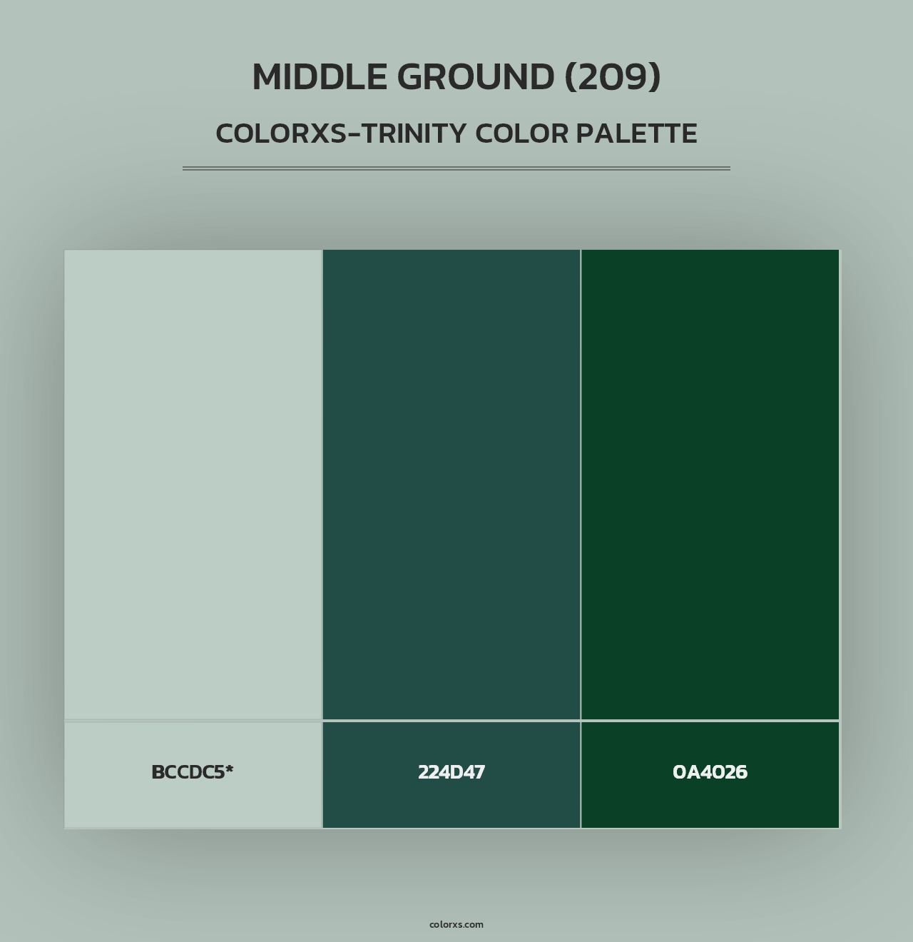 Middle Ground (209) - Colorxs Trinity Palette
