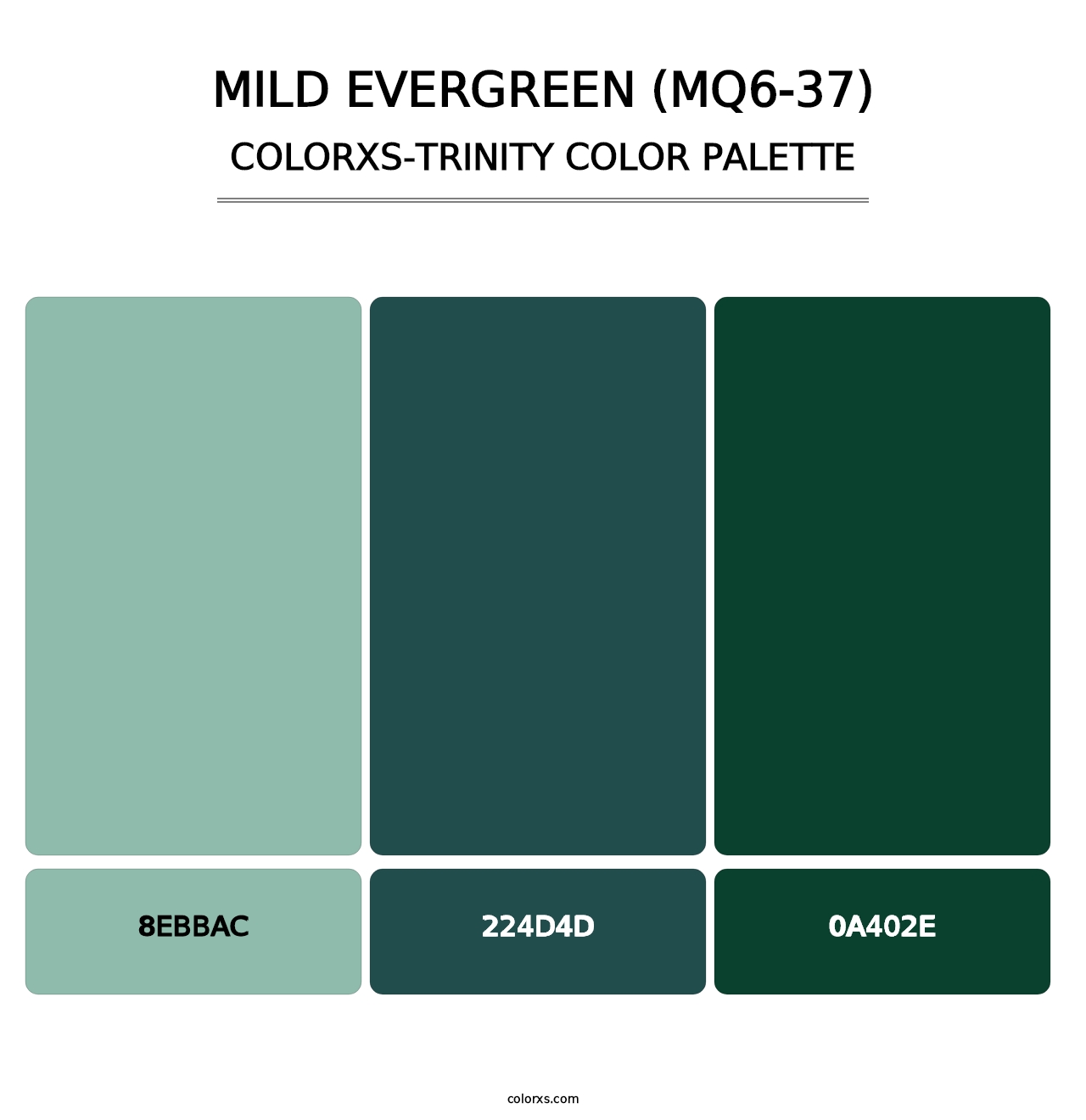 Mild Evergreen (MQ6-37) - Colorxs Trinity Palette