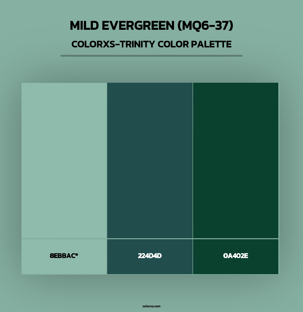Mild Evergreen (MQ6-37) - Colorxs Trinity Palette