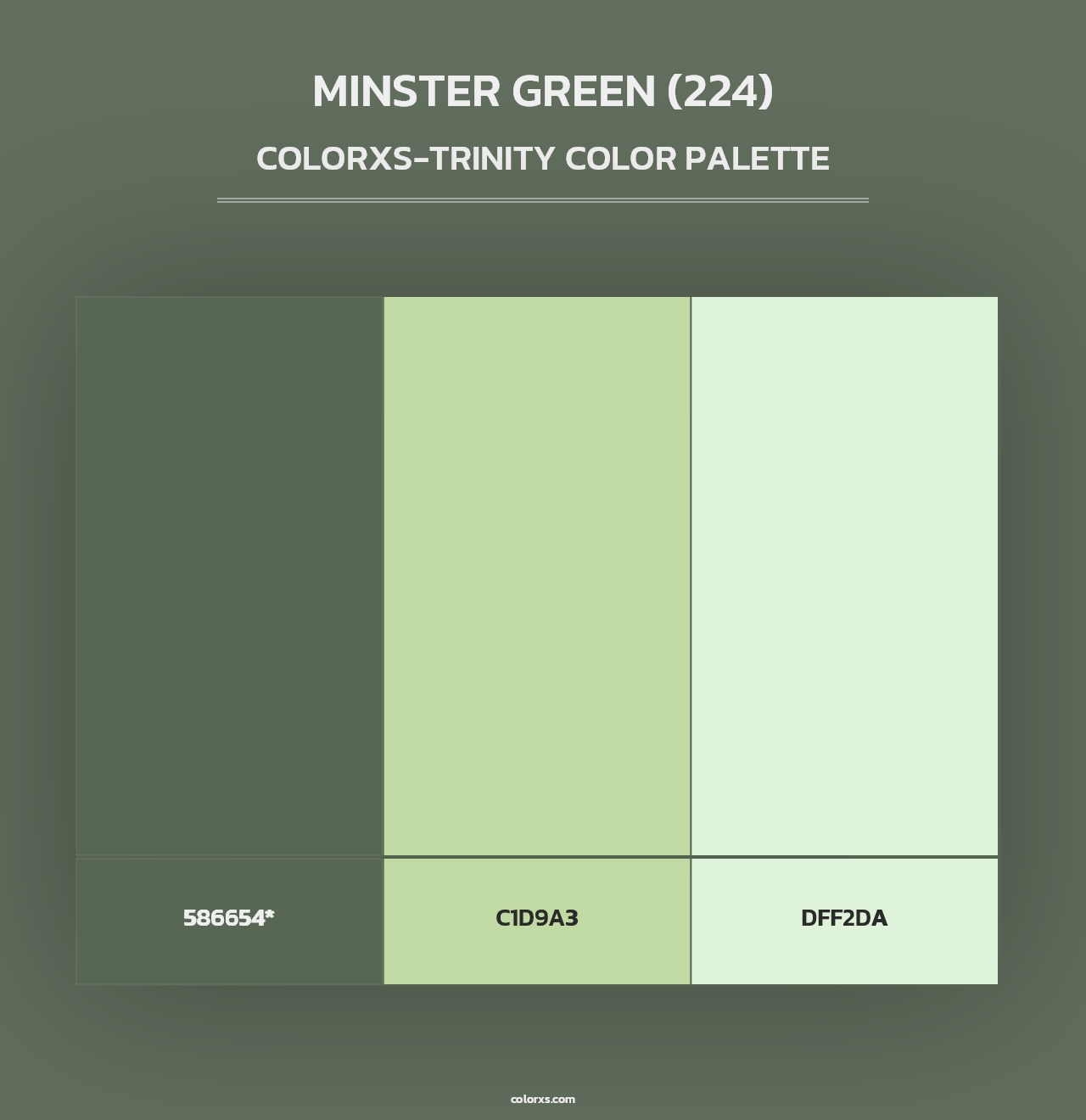 Minster Green (224) - Colorxs Trinity Palette