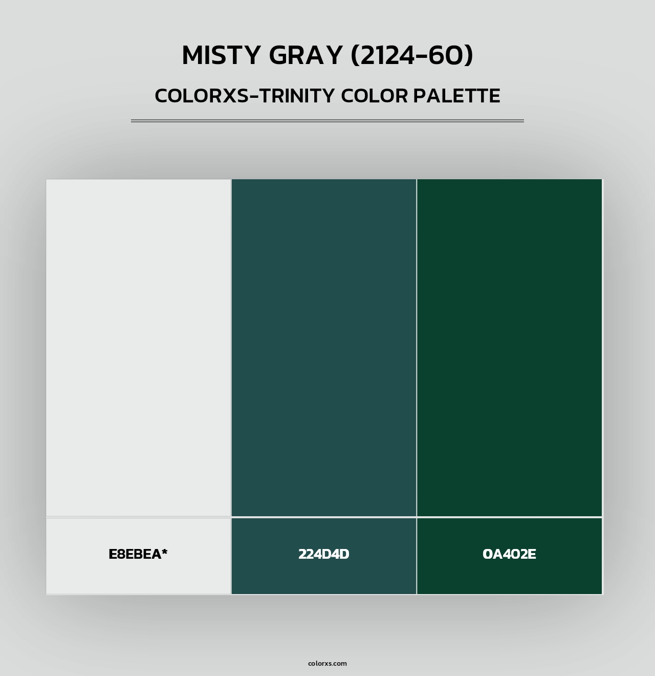 Misty Gray (2124-60) - Colorxs Trinity Palette