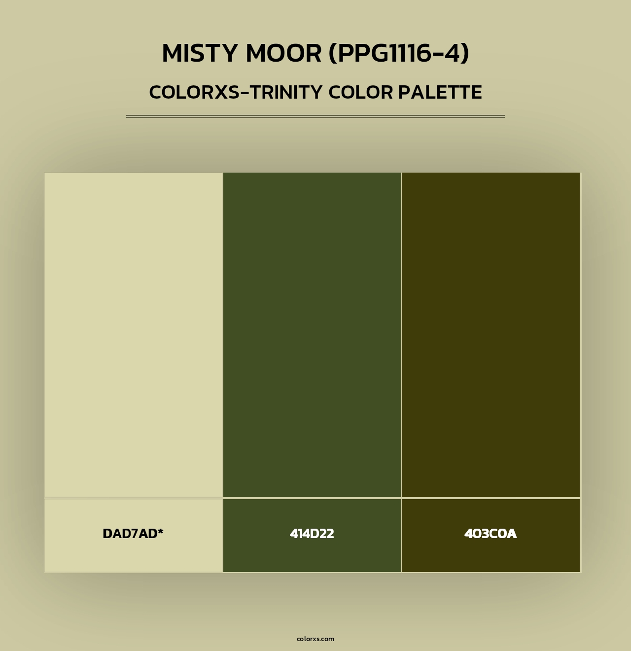 Misty Moor (PPG1116-4) - Colorxs Trinity Palette