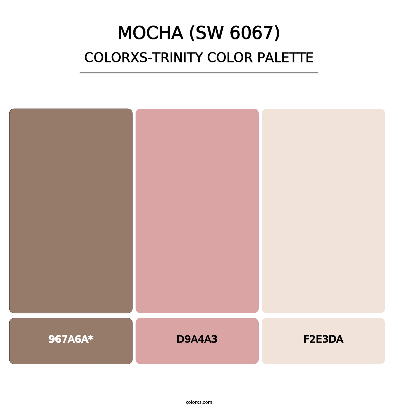 Mocha (SW 6067) - Colorxs Trinity Palette