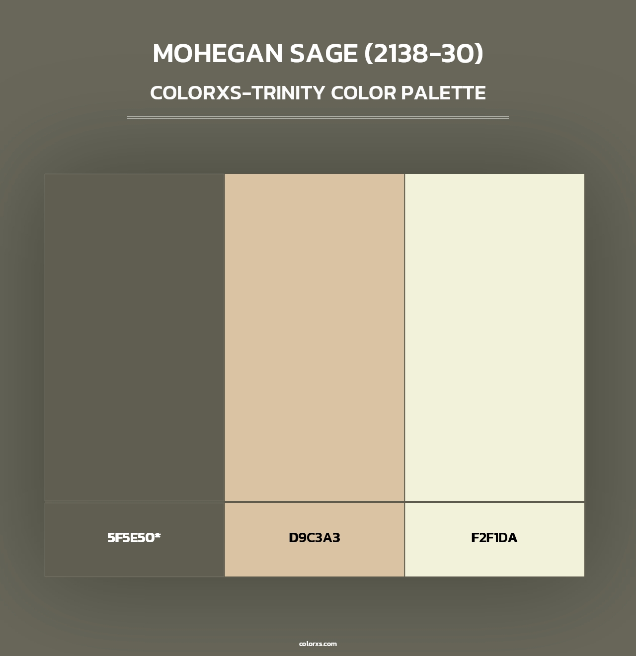Mohegan Sage (2138-30) - Colorxs Trinity Palette