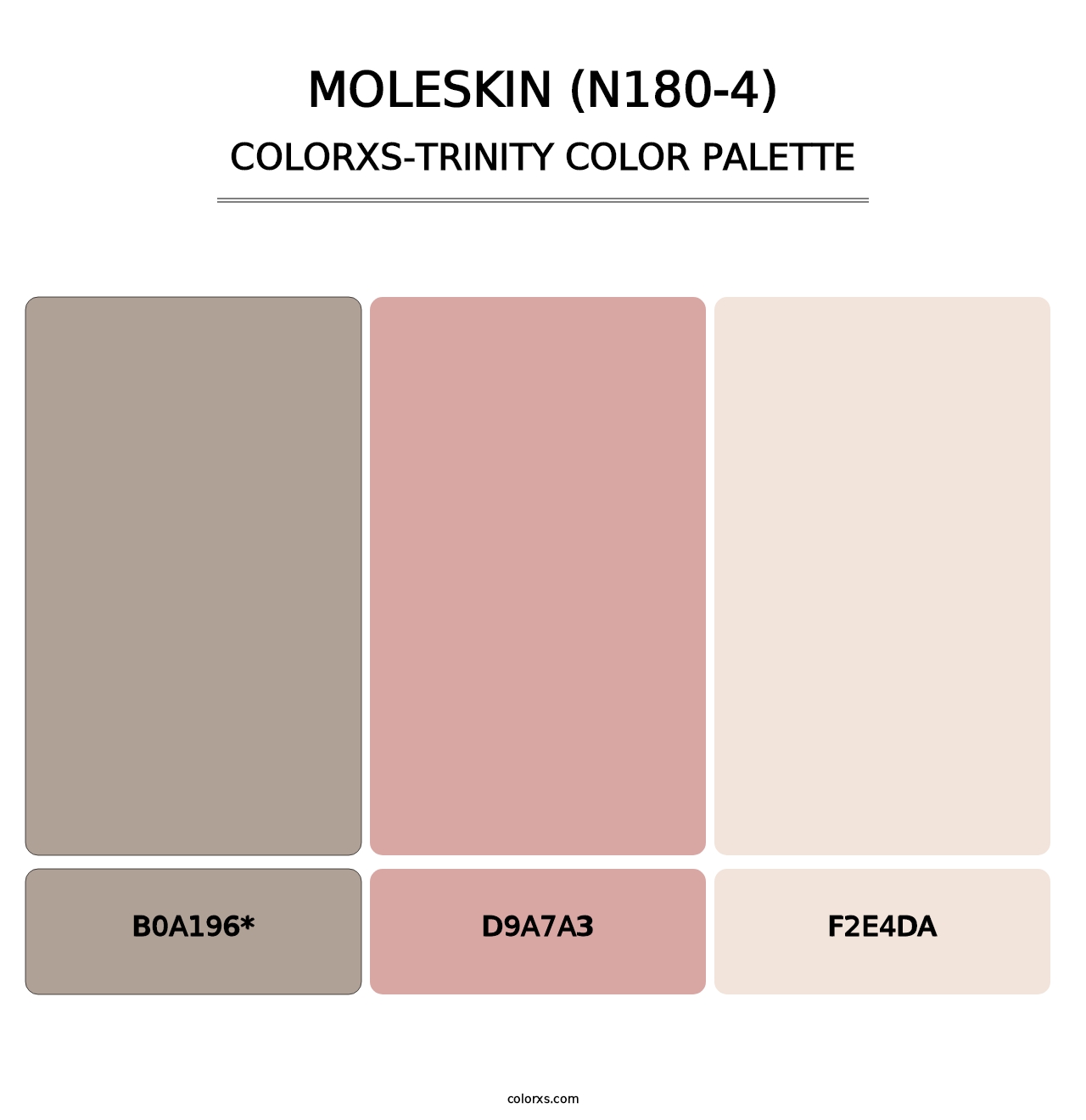 Moleskin (N180-4) - Colorxs Trinity Palette
