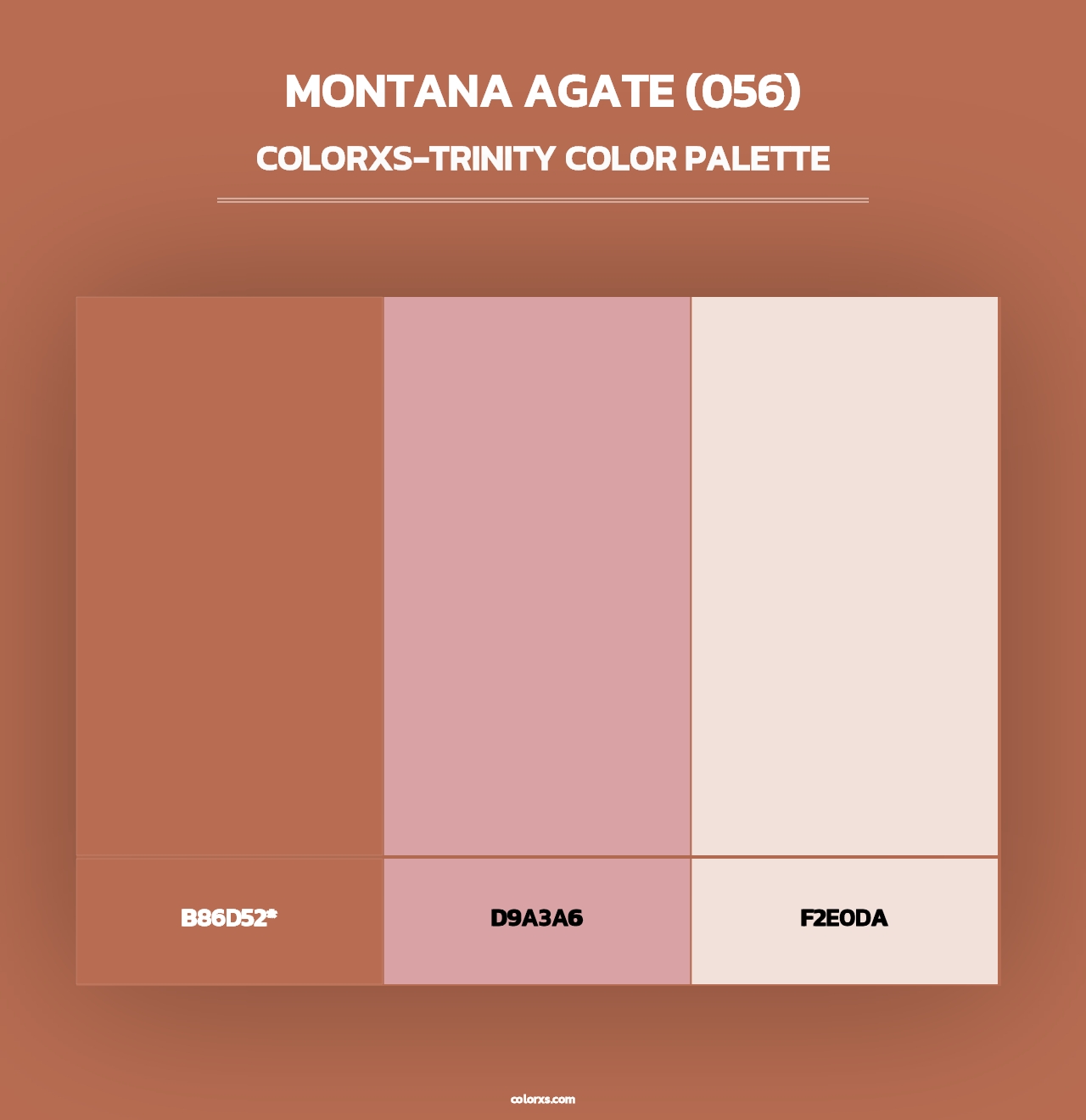 Montana Agate (056) - Colorxs Trinity Palette
