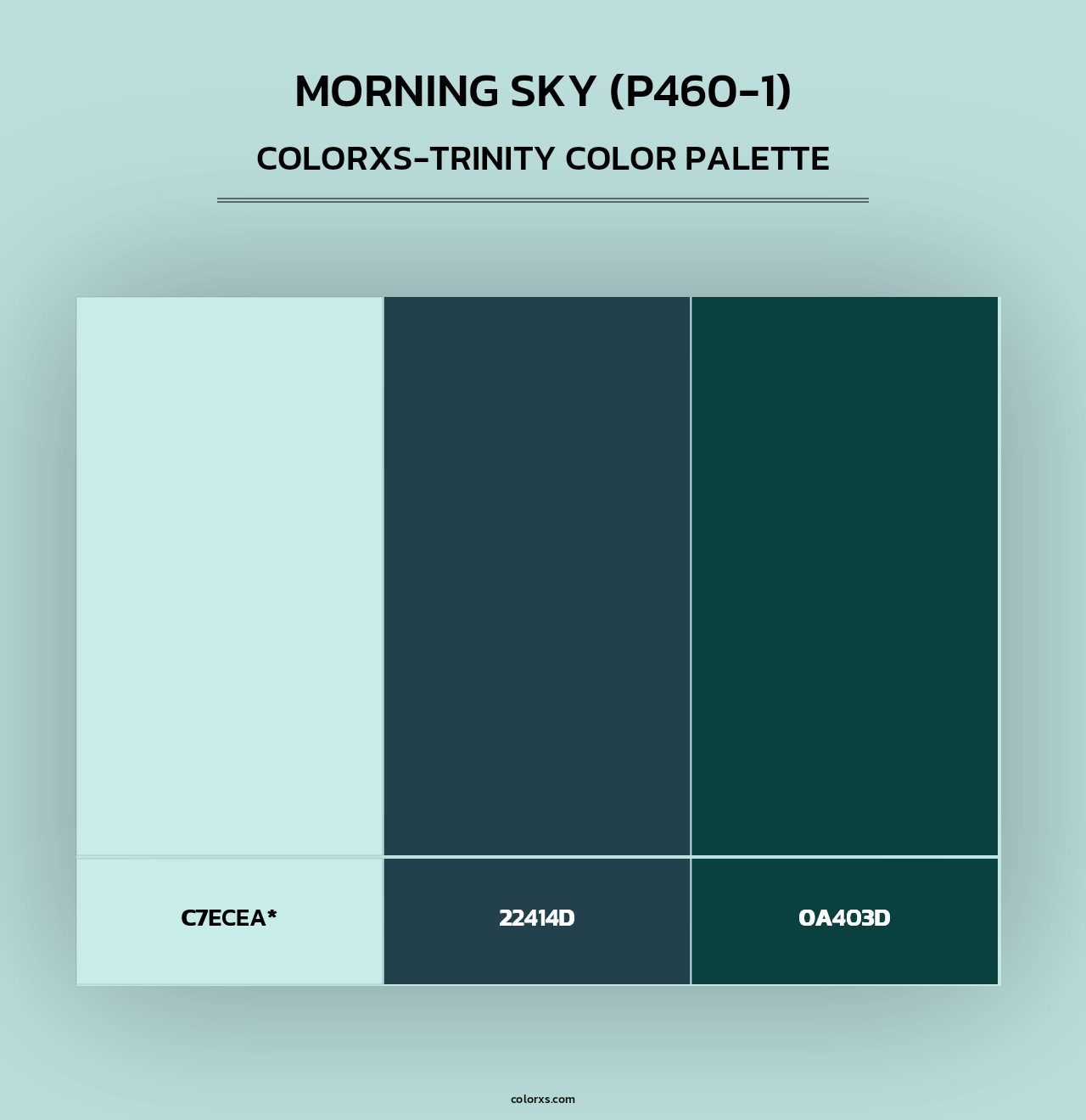Morning Sky (P460-1) - Colorxs Trinity Palette