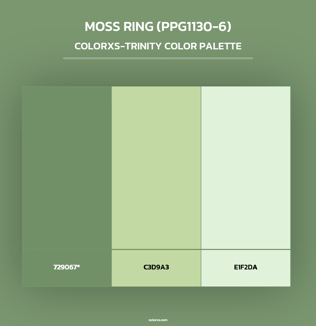 Moss Ring (PPG1130-6) - Colorxs Trinity Palette