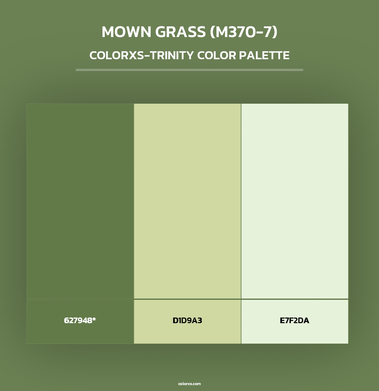 Mown Grass (M370-7) - Colorxs Trinity Palette