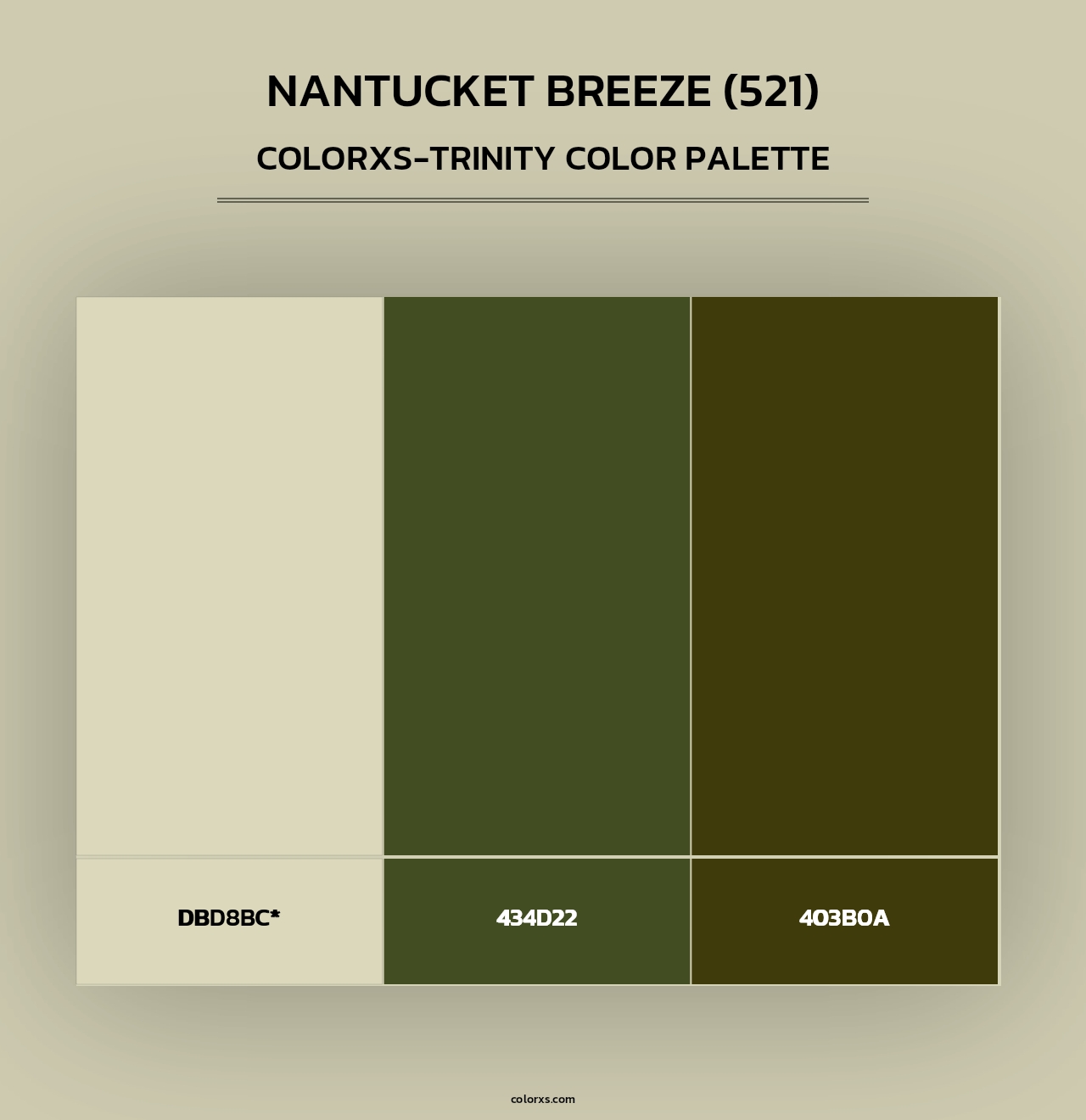 Nantucket Breeze (521) - Colorxs Trinity Palette